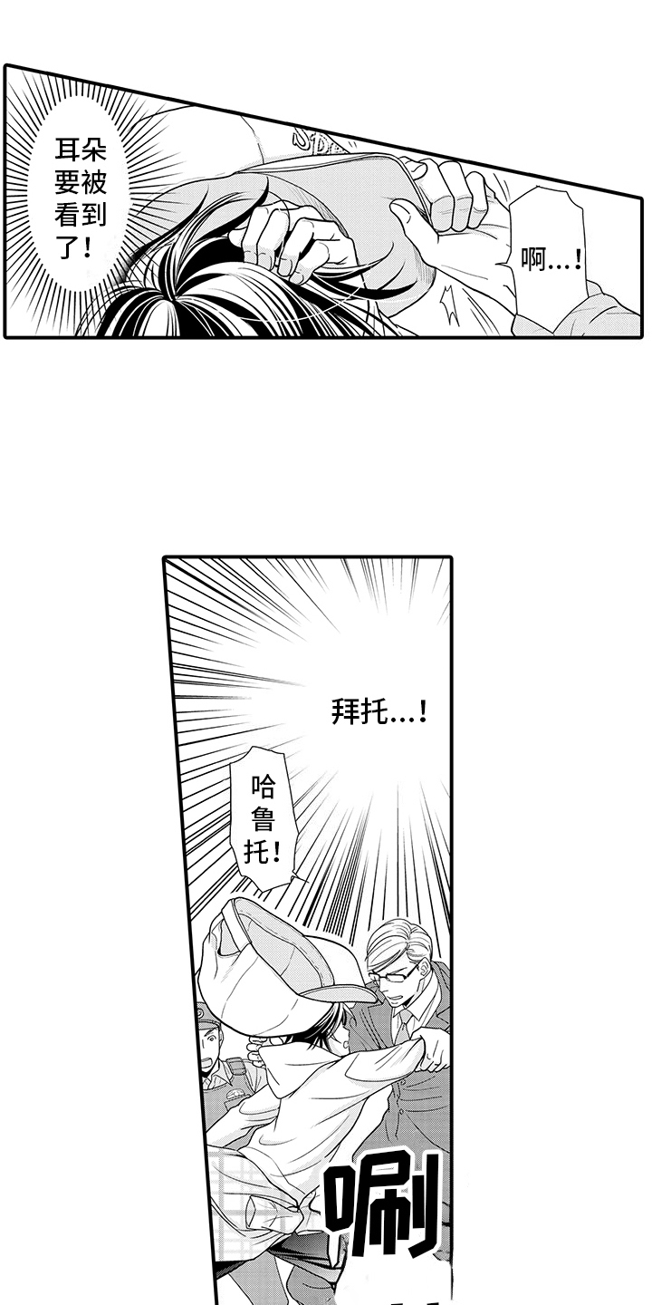 毛茸茸的枝头漫画,第8话2图