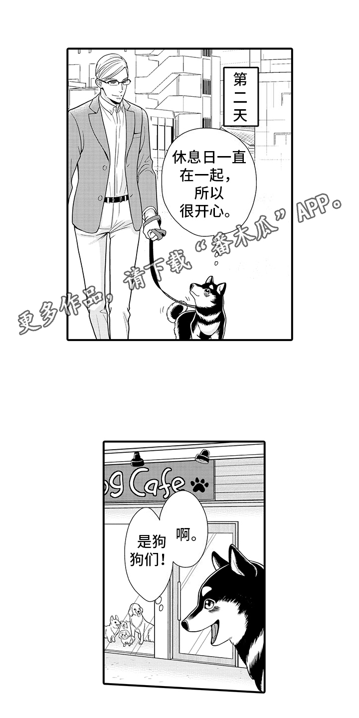 毛茸茸的猫漫画,第9话5图