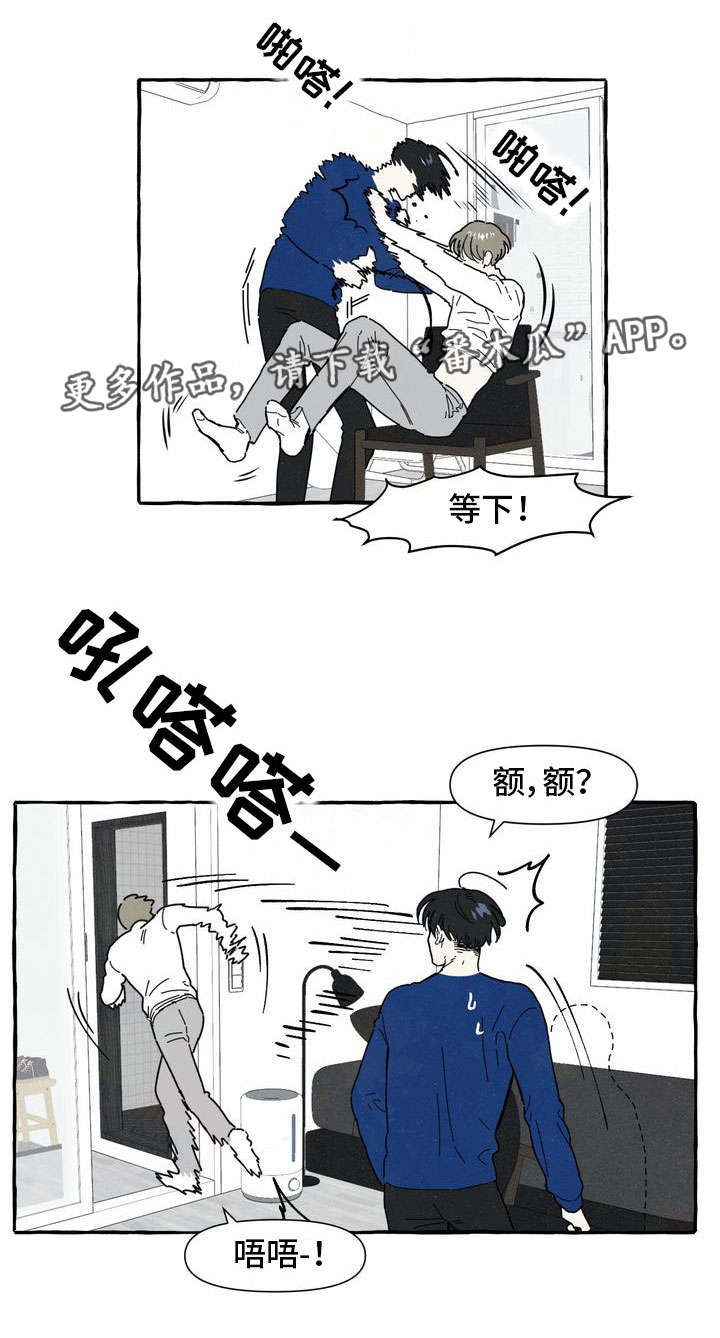 一锤定音是褒义词还是贬义词漫画,第10章：喜欢1图