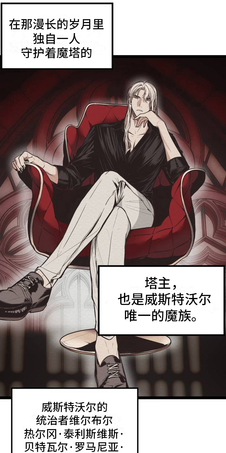 魔塔英雄传第20层怎么过漫画,第2话3图