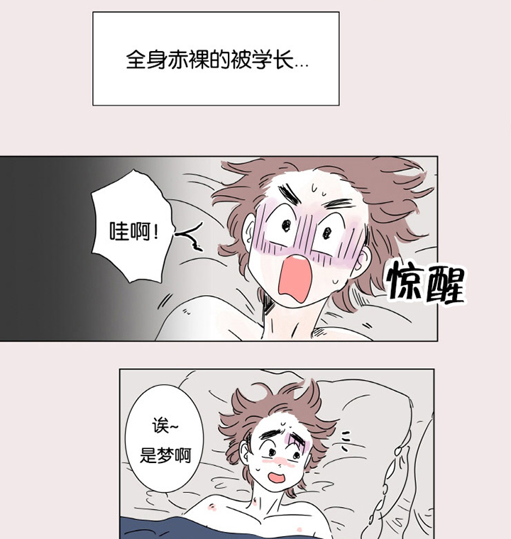 一家四口漫画,第3章：并不是梦5图