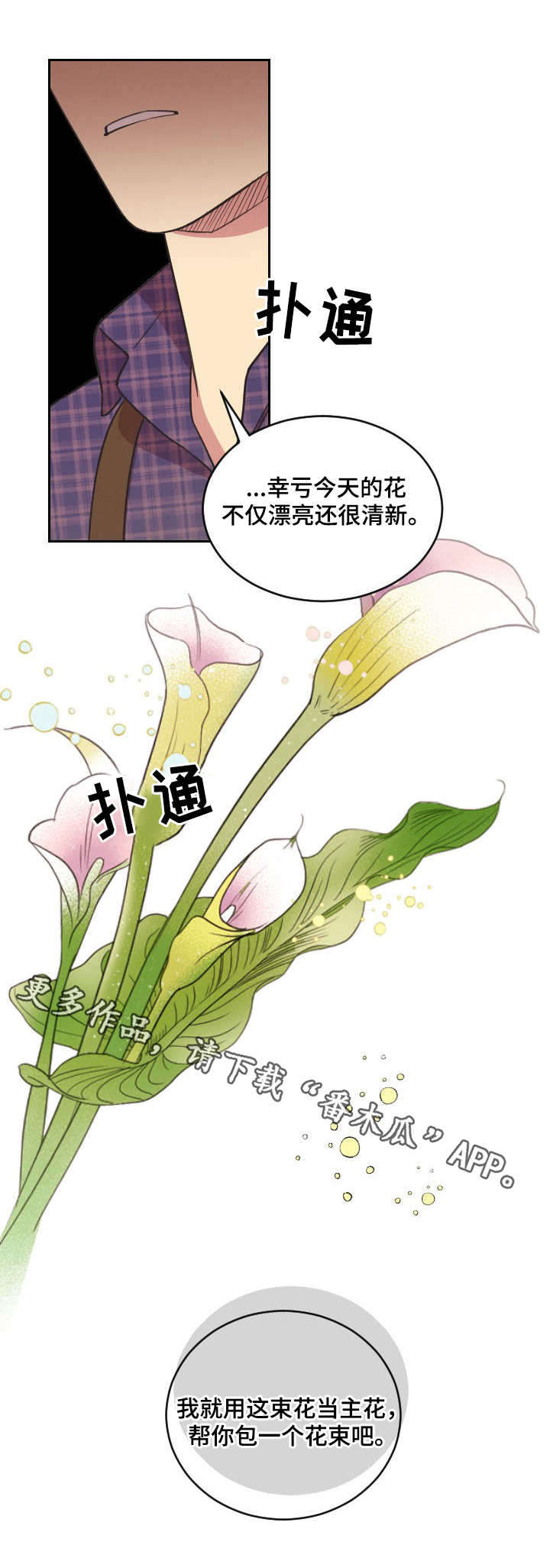 保护条约漫画,第6章：本杰明5图