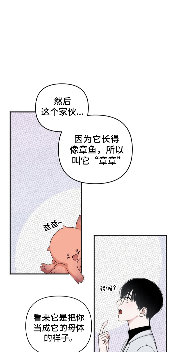 黏糊糊章鱼漫画,第5话2图