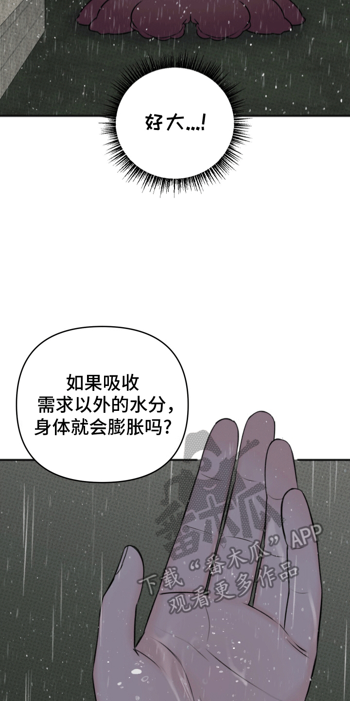 黏糊糊章鱼免费漫画,第9话5图