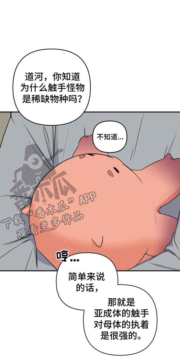 黏糊糊章鱼漫画,第5话1图