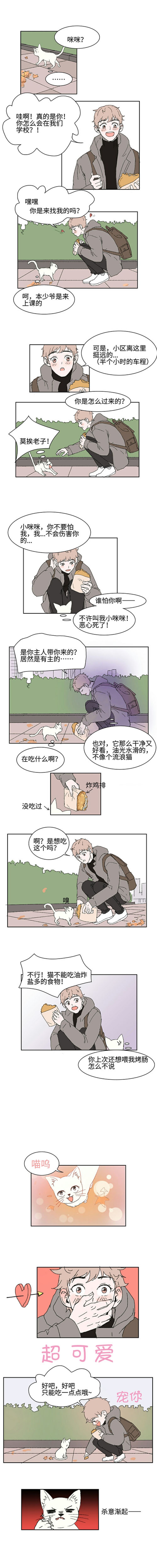 猫少爷的贴身铲屎官漫画,第2话1图