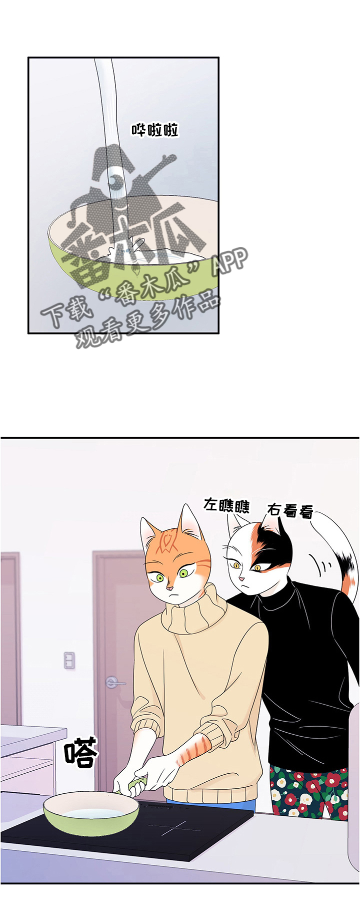 灵猫欧米伽漫画画涯在线观看漫画,第10章：期待3图