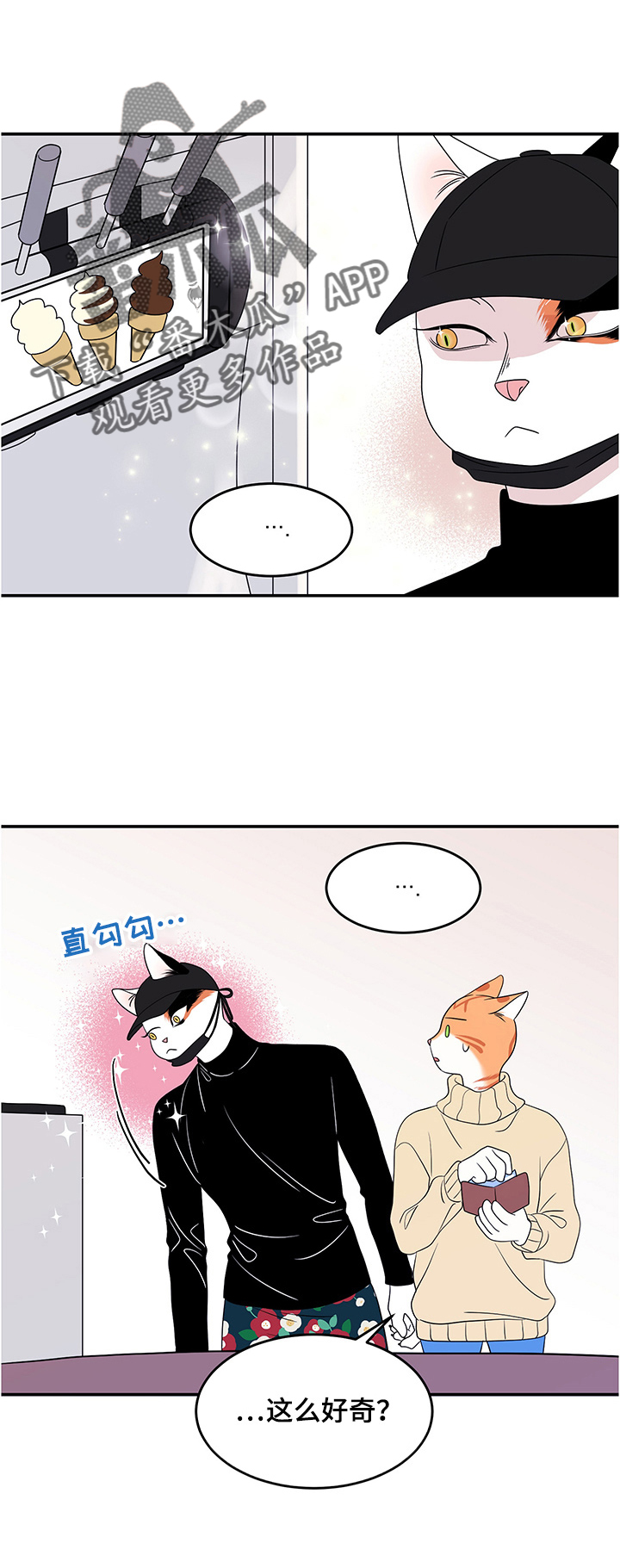 灵猫欧米伽漫蛙叫什么漫画,第10章：期待3图