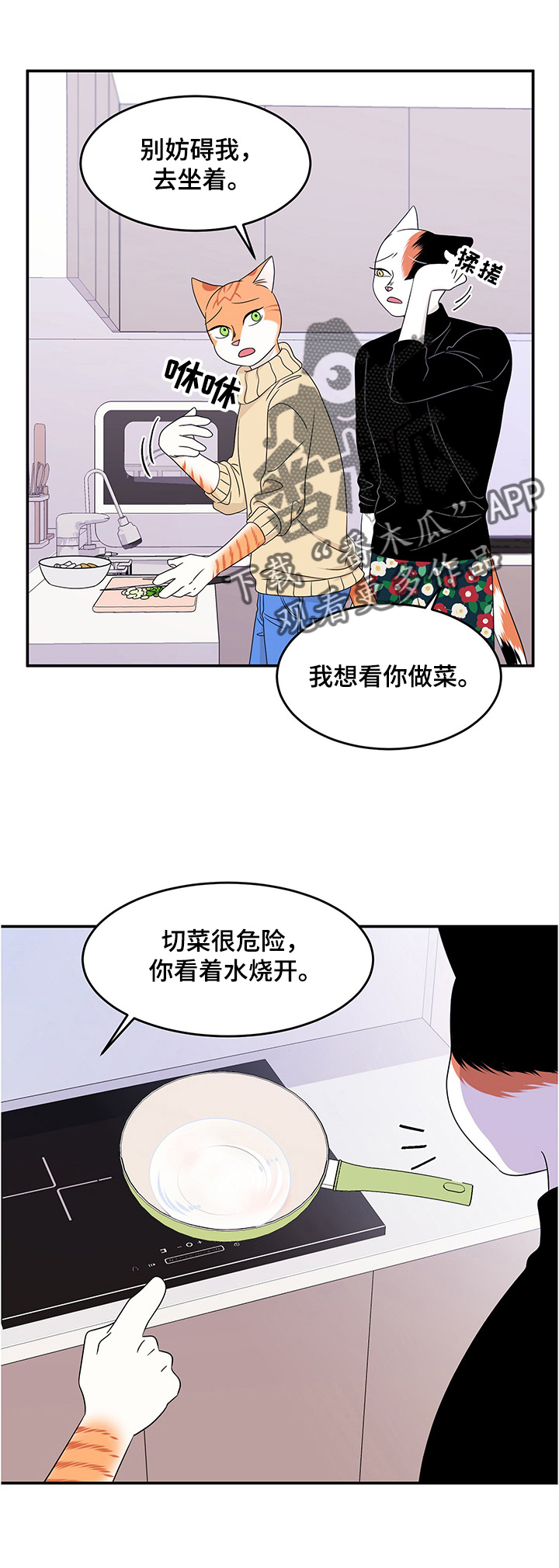 灵猫欧米伽漫画画涯在线观看漫画,第10章：期待5图