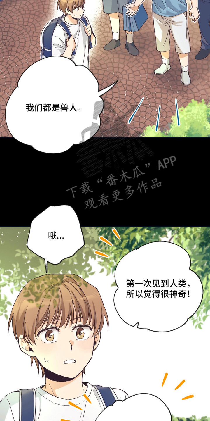 我的猛兽伴侣漫画,第8话4图