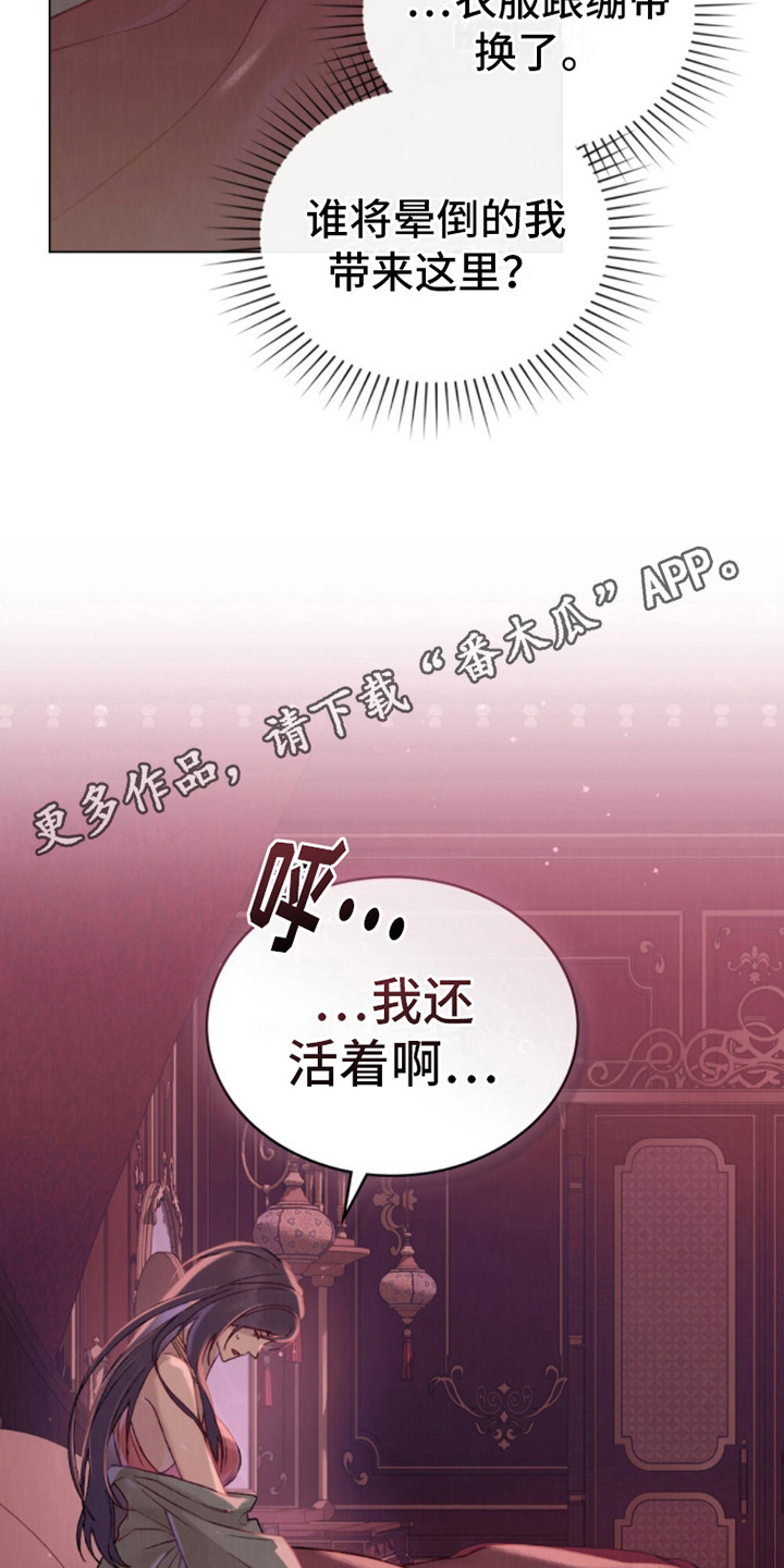 琥珀魅影免费阅读漫画在线观看漫画,第8话1图