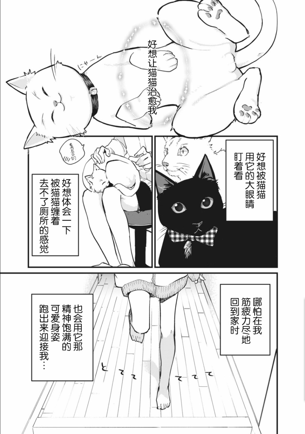 家有幼猫♂漫画,第1.1话1图