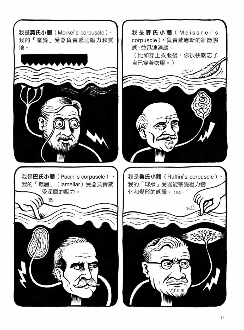 看漫画了解人体感官漫画,第1卷1图