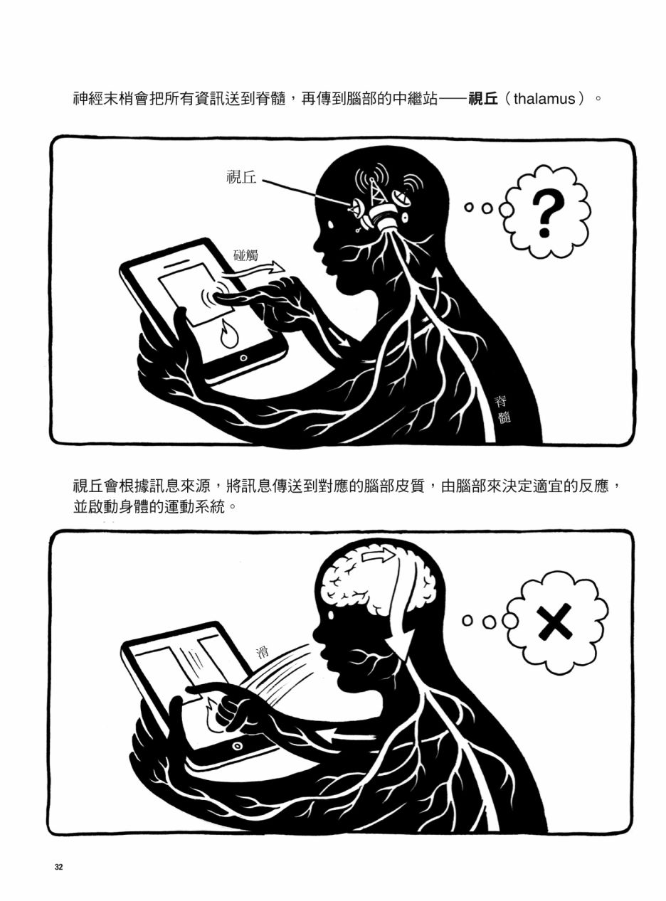 看漫画了解人体感官漫画,第1卷2图