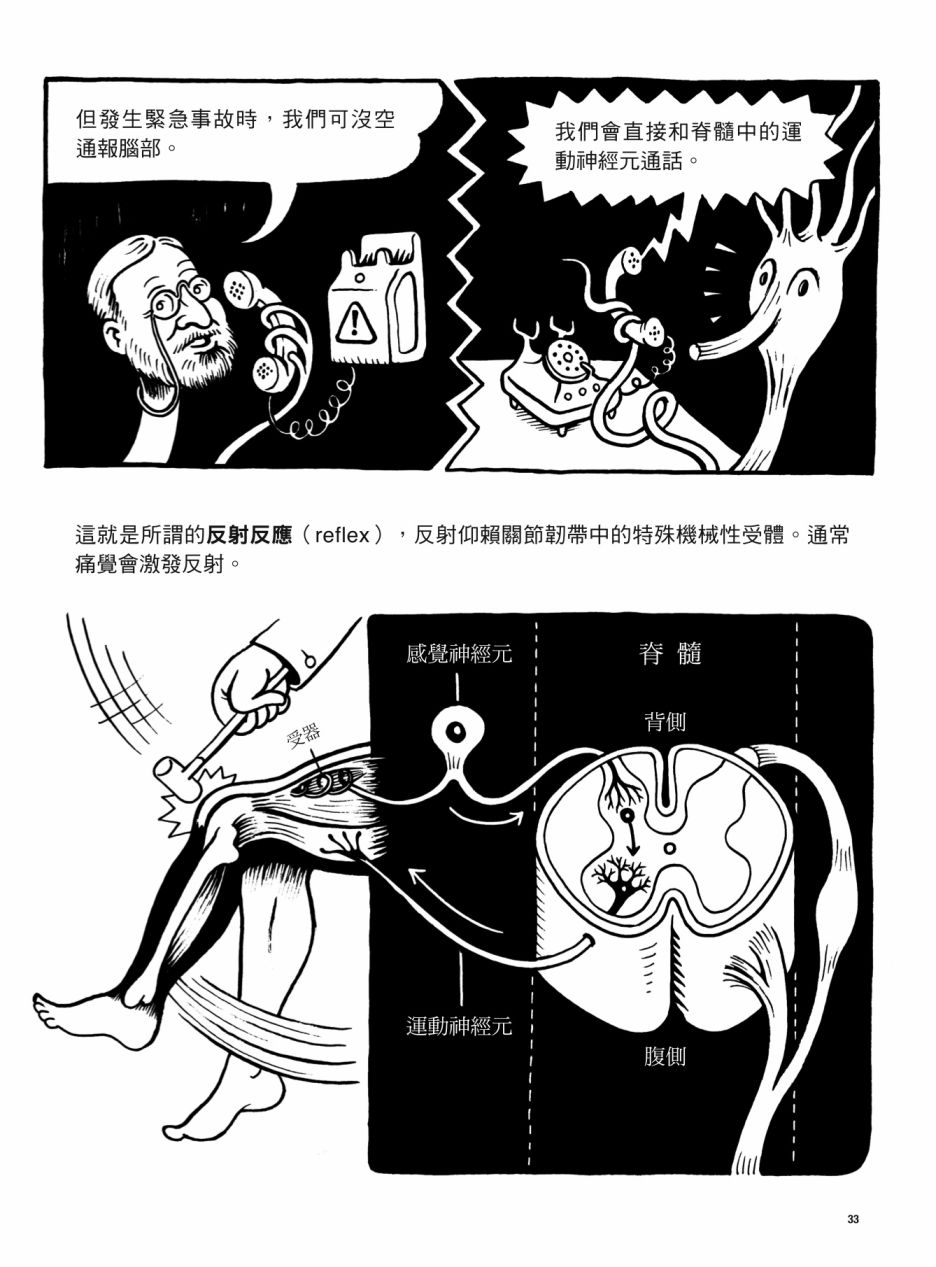 看漫画了解人体感官漫画,第1卷3图