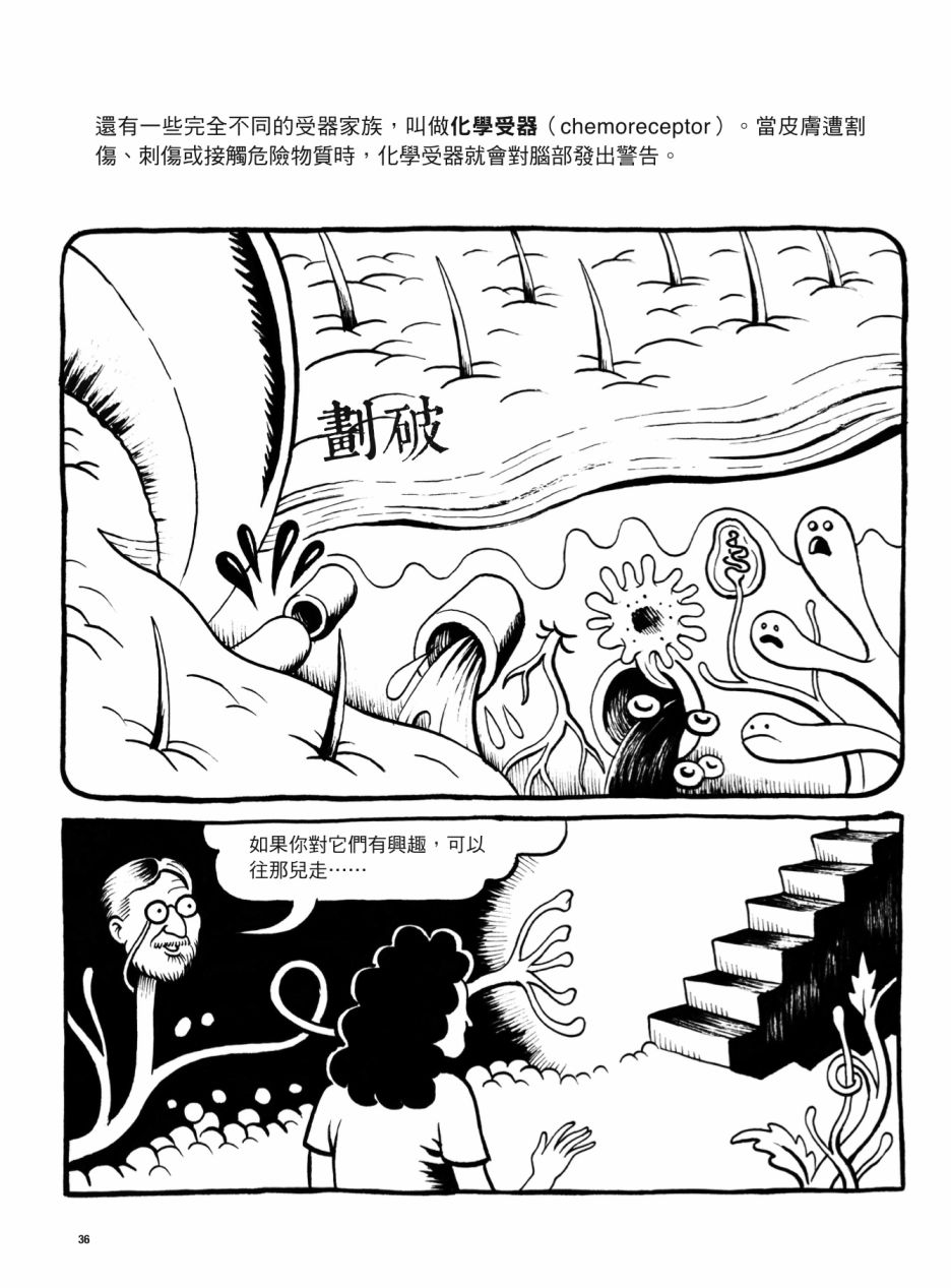 看漫画了解人体感官漫画,第1卷1图