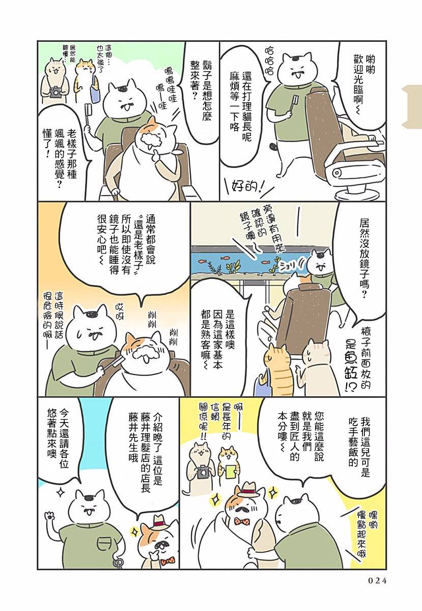 看板猫漫画,第3话3图