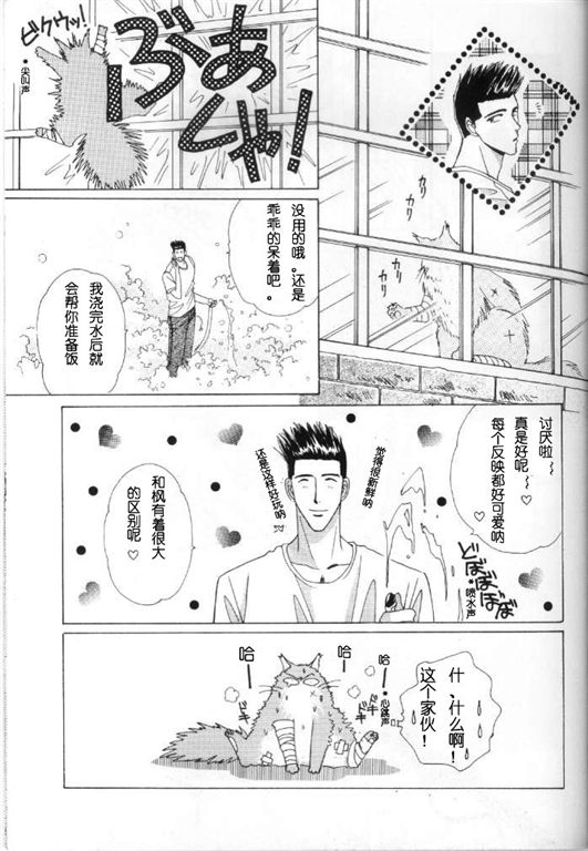 我的小猫漫画,第8话3图