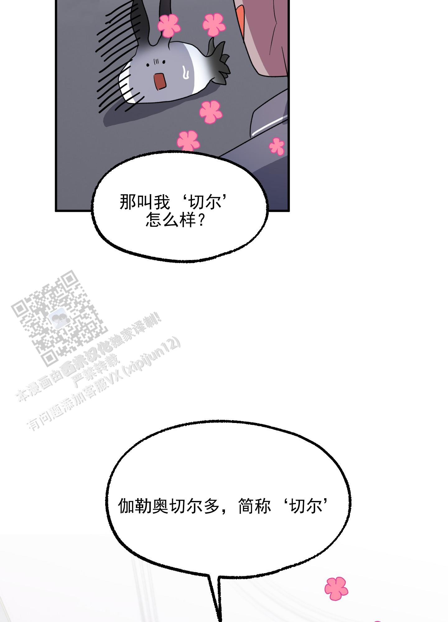 鲨鱼的新娘在线免费观看漫画,第8话1图