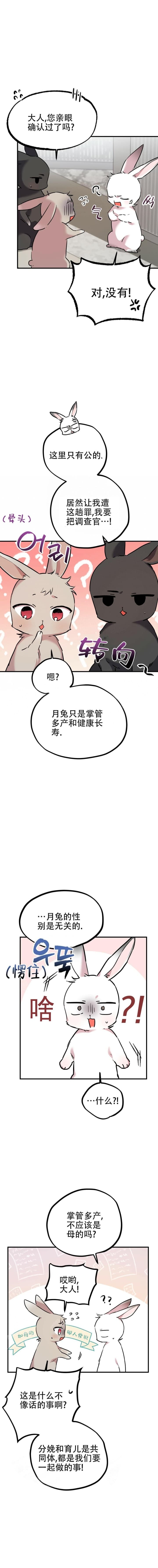  夏菲菲的兔子漫画,第6话1图