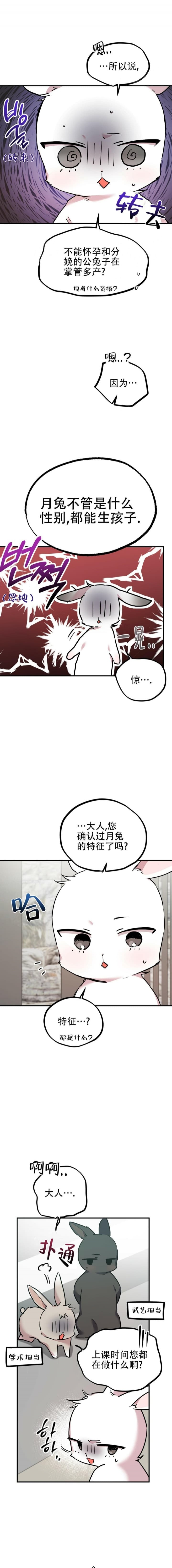  夏菲菲的兔子漫画,第6话2图