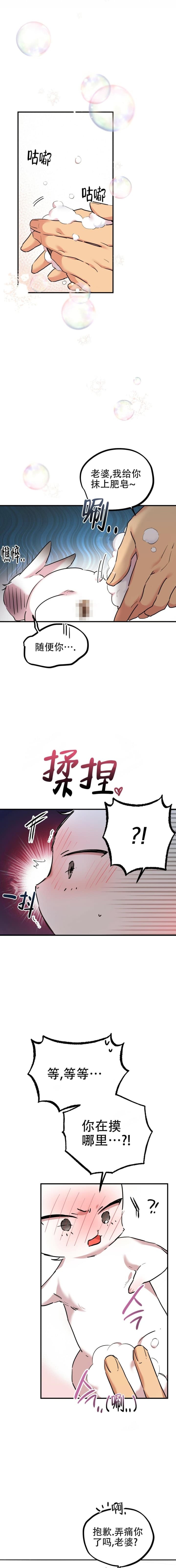  夏菲菲的兔子漫画,第6话5图