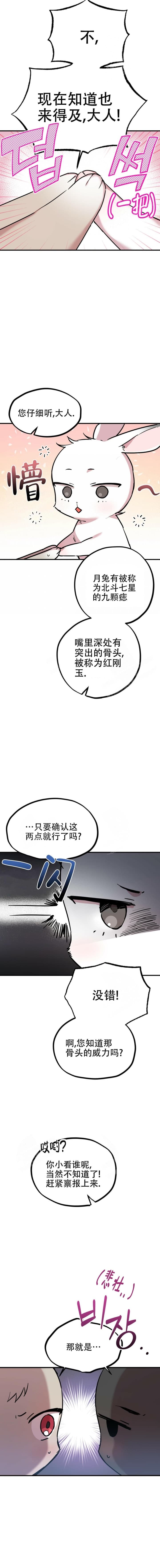  夏菲菲的兔子漫画,第6话3图