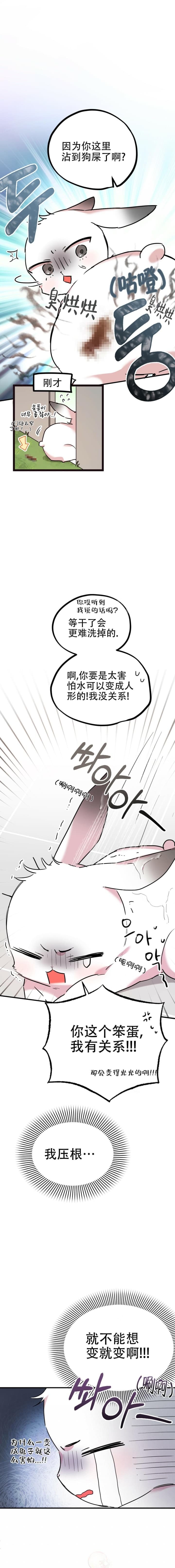  夏菲菲的兔子漫画,第6话4图