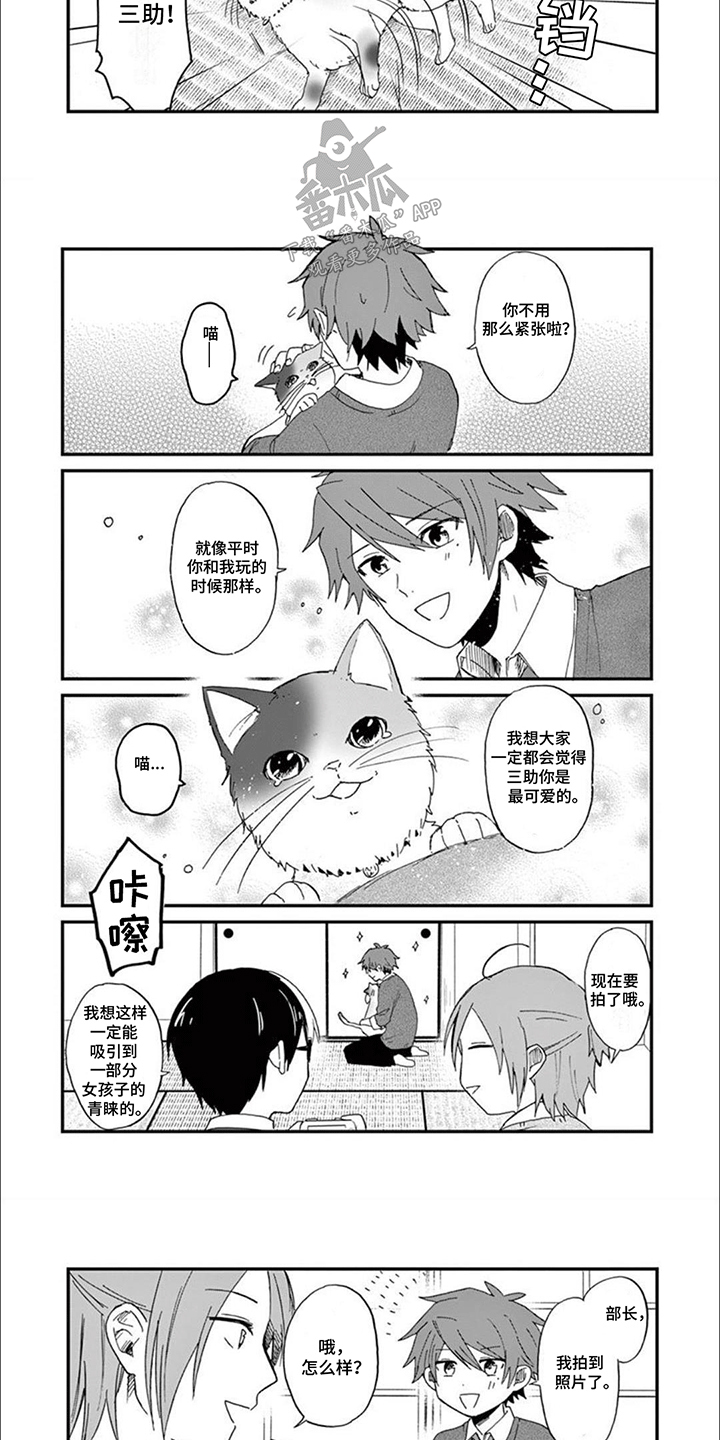 三花猫视频小奶猫漫画,第2话2图