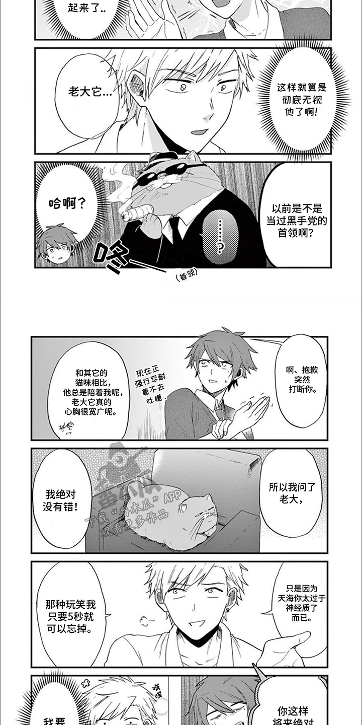 三花猫猫部漫画,第10话2图