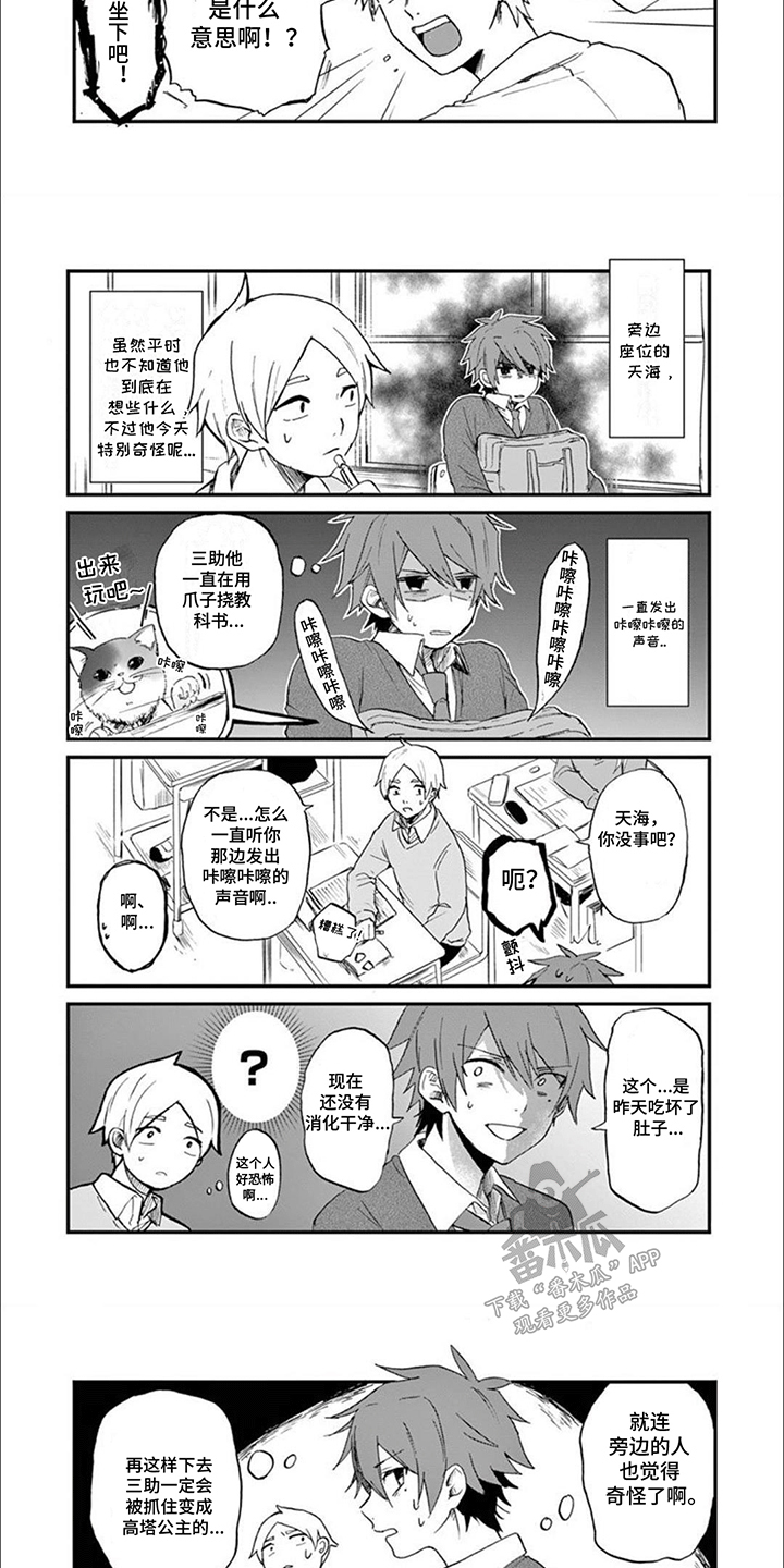 三花猫猫界女神的介绍漫画,第4话2图