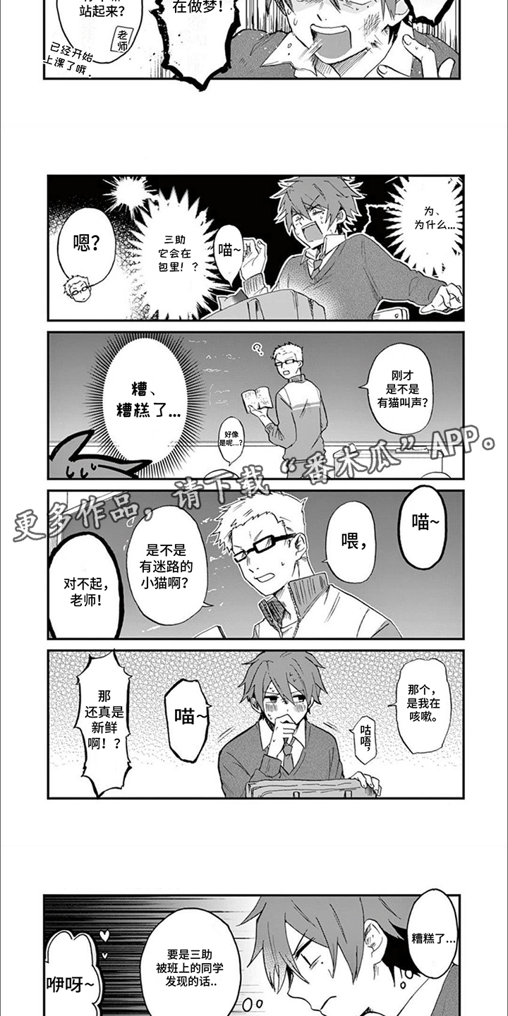 猫猫三花是什么意思漫画,第4话3图