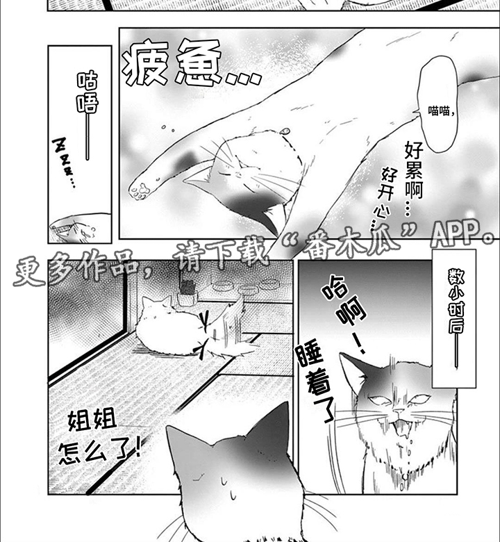 三花猫猫部漫画,第8话2图