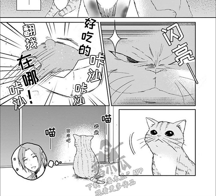 三花猫猫部漫画,第8话3图