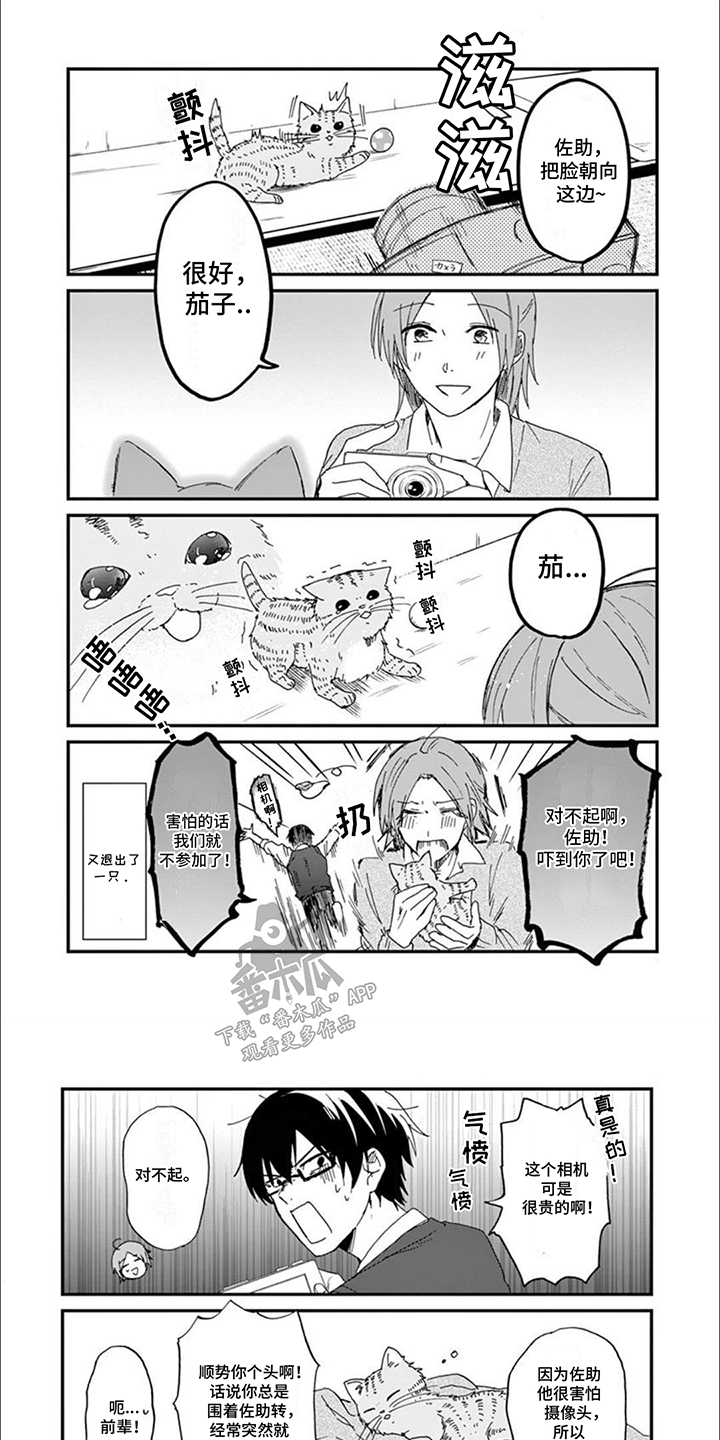 三花猫猫部漫画,第2话5图