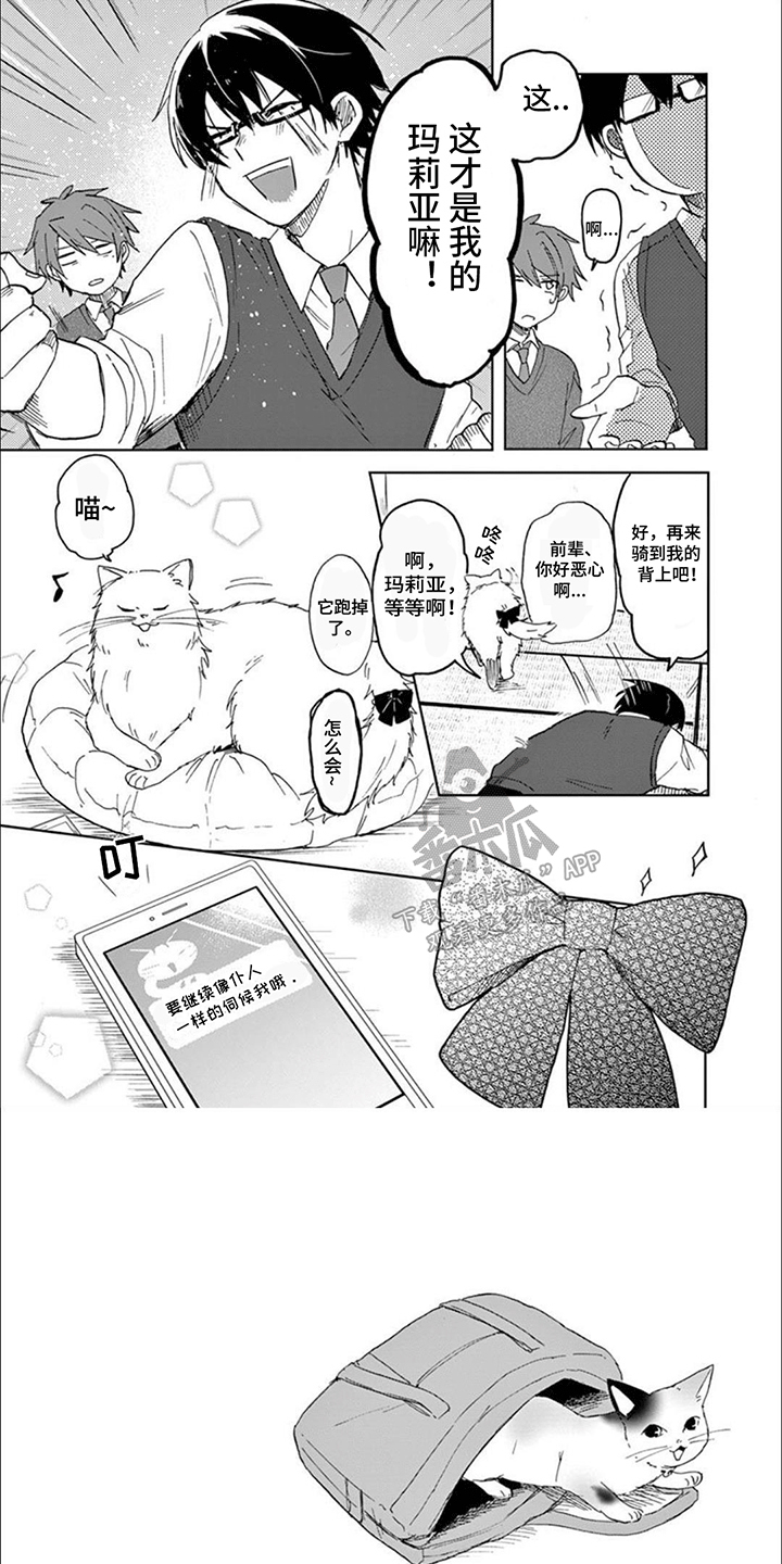 三花猫猫部漫画,第8话1图