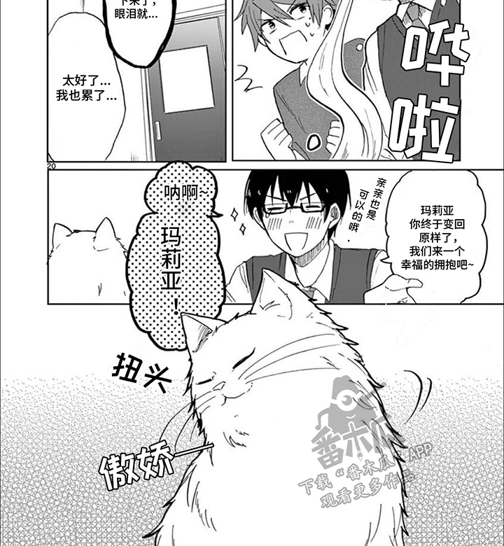 三花猫中华田园猫漫画,第7话3图