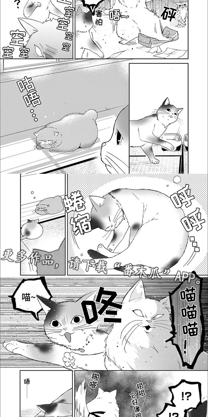 三花猫猫部漫画,第8话5图