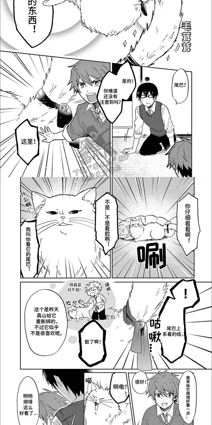 三花猫中华田园猫漫画,第7话1图