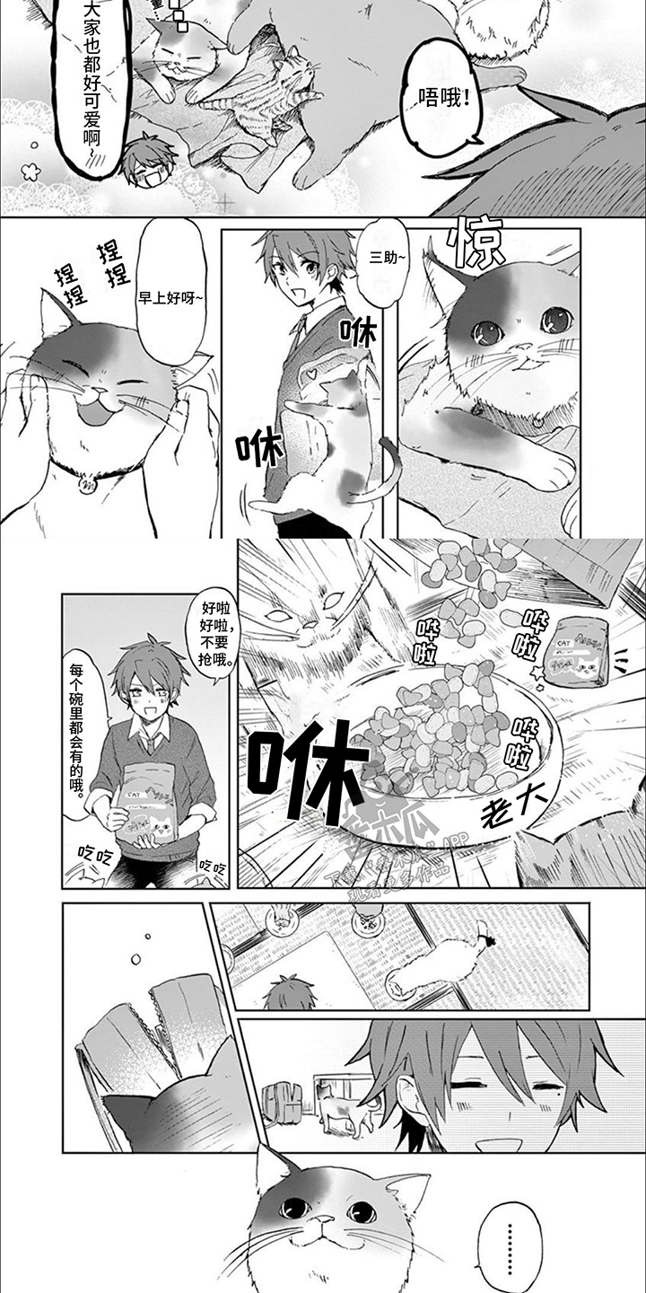 三花猫猫中美人漫画,第3话1图