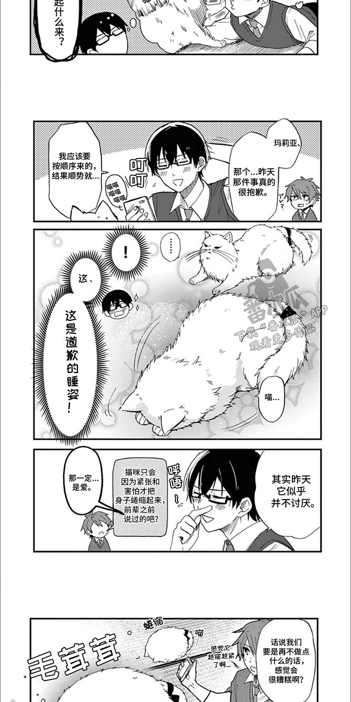 三花猫猫部漫画,第7话3图