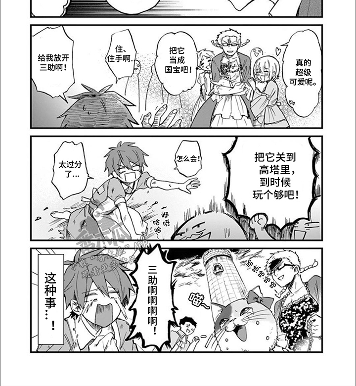 猫猫三花是什么意思漫画,第4话4图