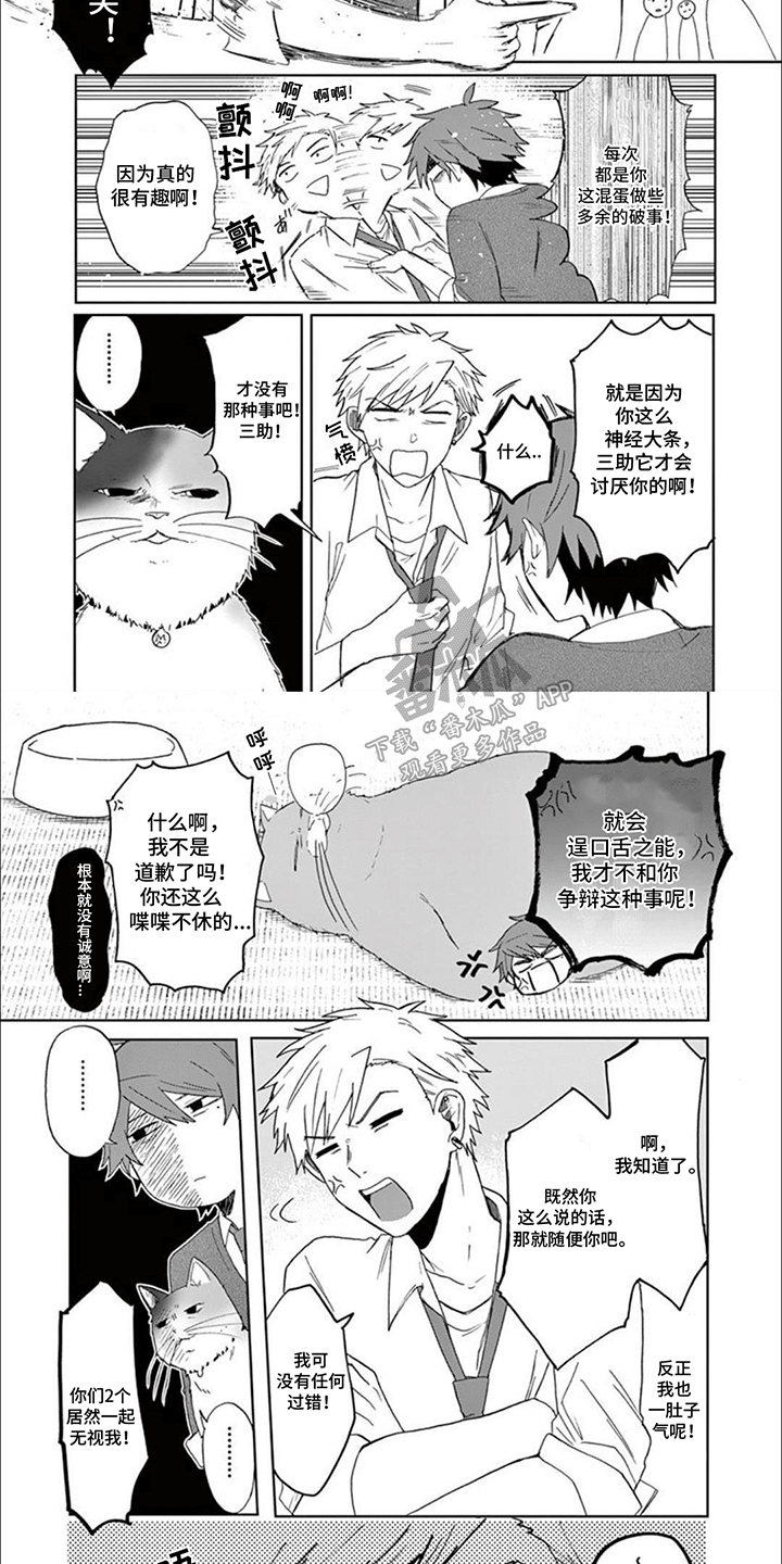 三花猫猫部漫画,第9话1图