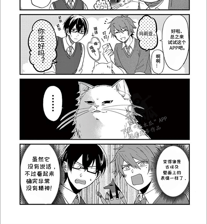 三花猫猫界漫画,第6话2图