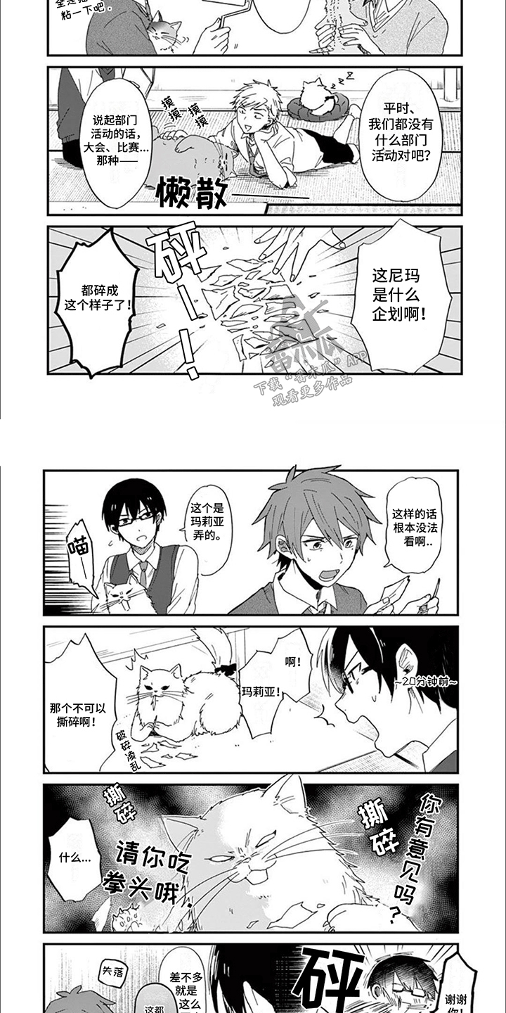 三花猫猫部漫画,第2话2图