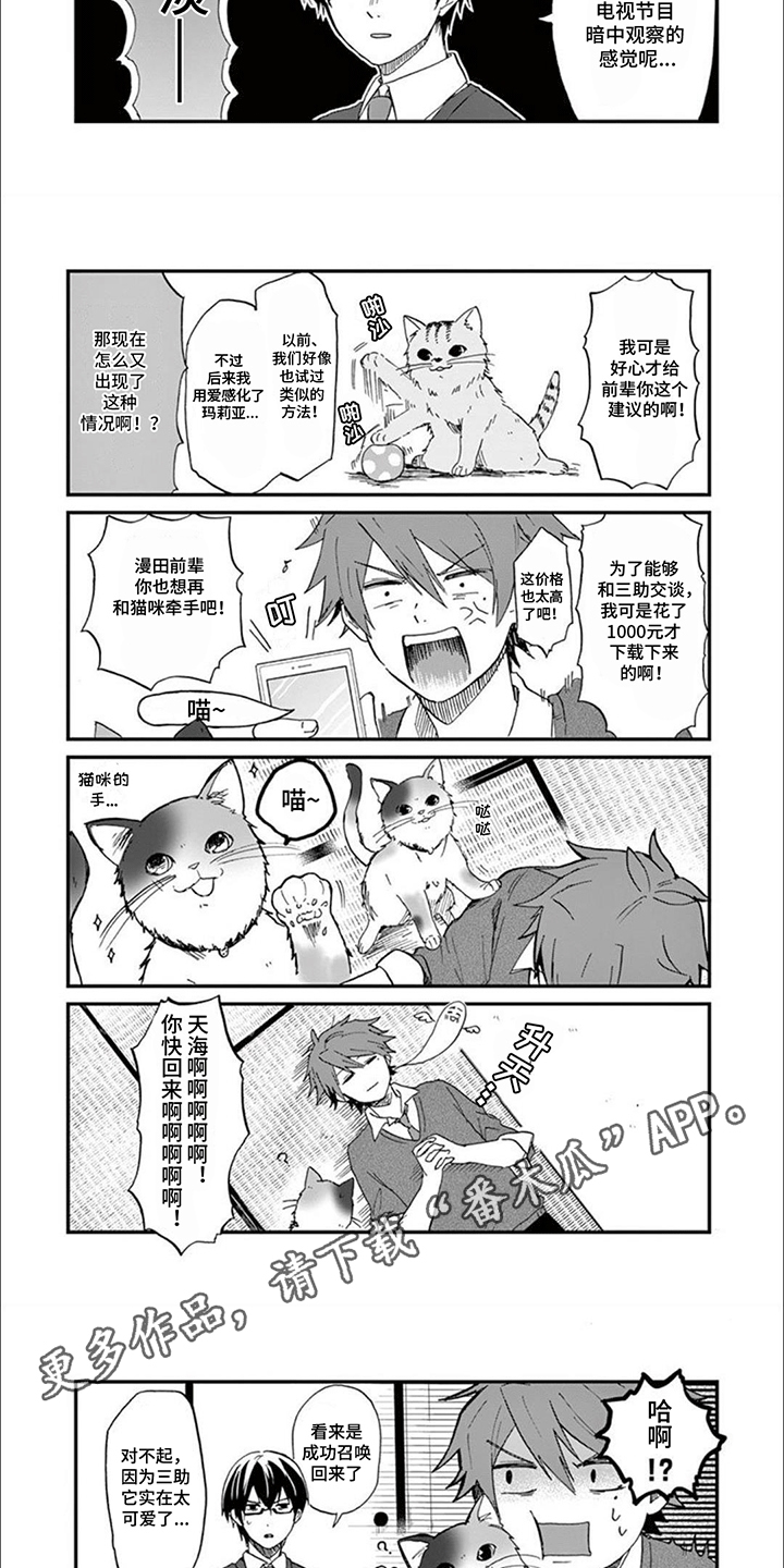 三花猫猫界漫画,第6话1图