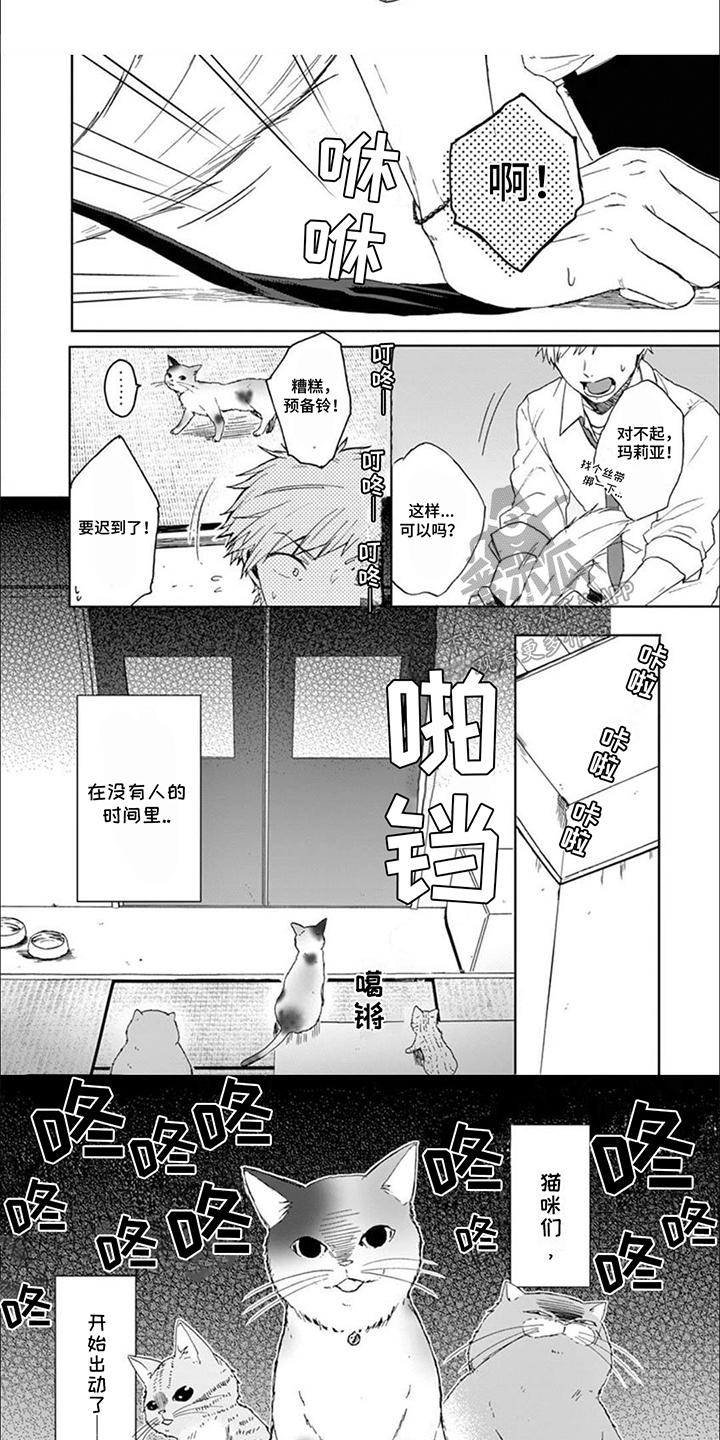 三花猫猫部漫画,第8话2图