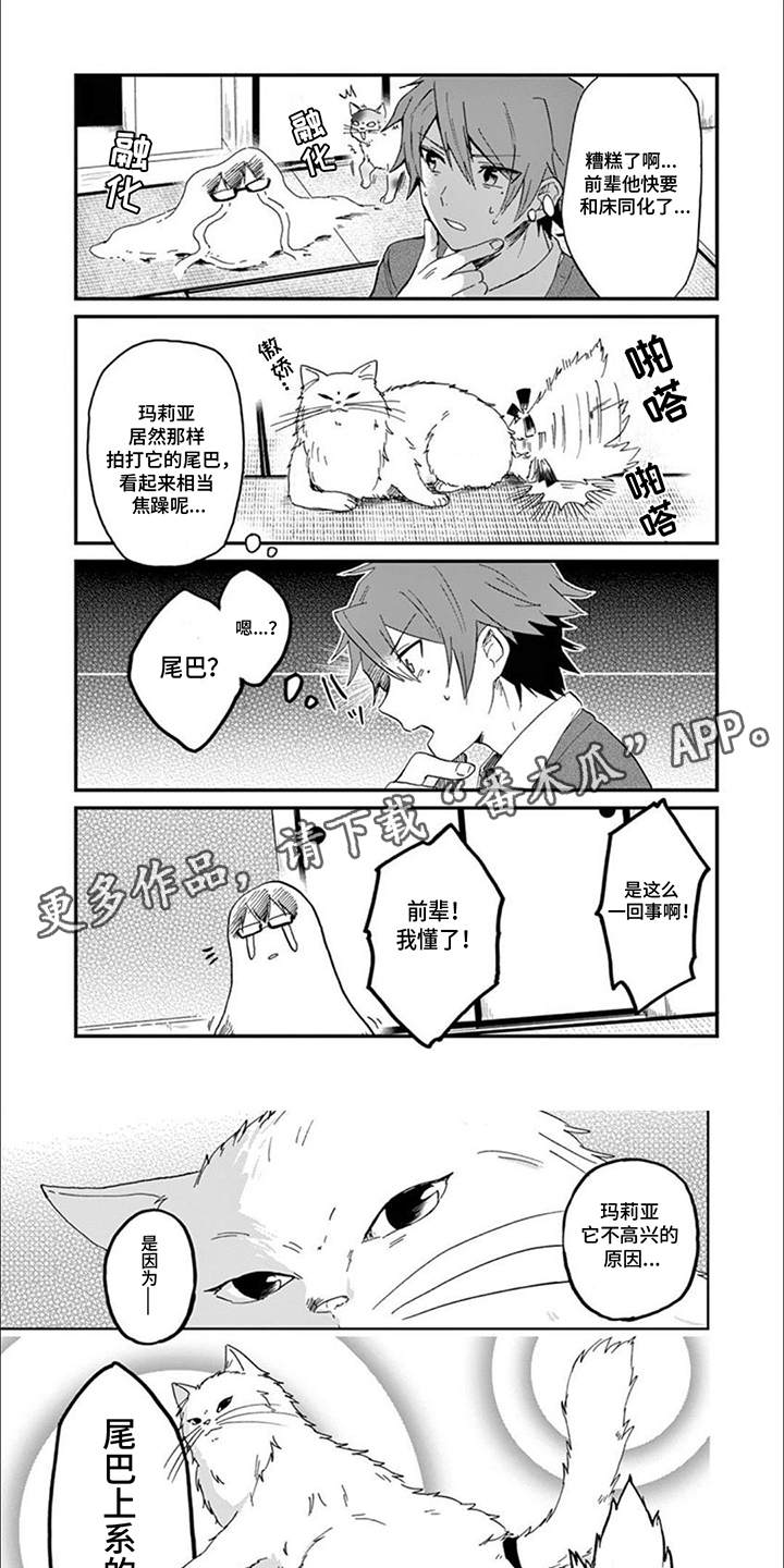 三花猫猫部漫画,第7话5图