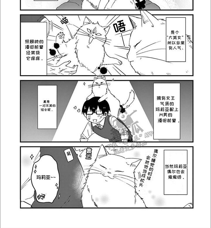 三花猫猫部漫画,第1话3图