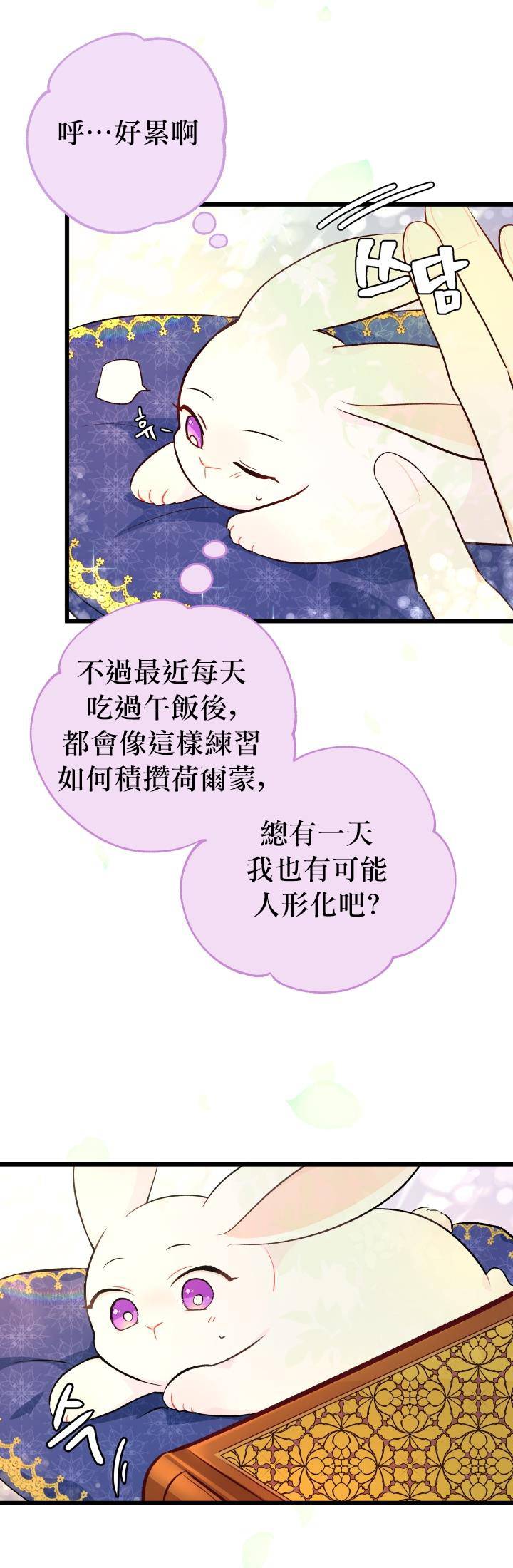 兔子与黑豹的共生关系漫画,第8话5图